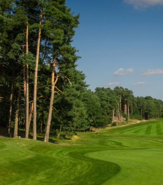 Best Pine Tree Golf Courses